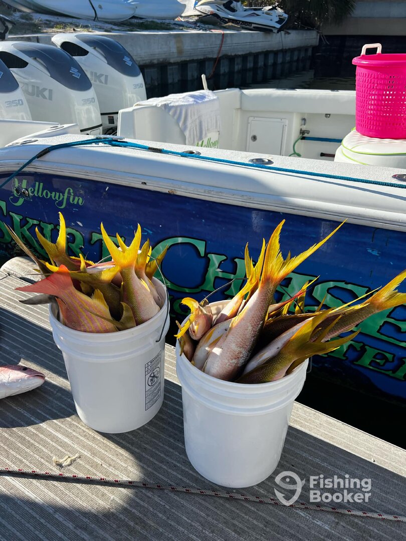 Treasure Island Report Photo 0