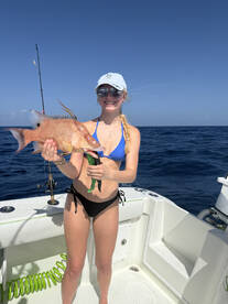 Boca Ciega Bay Report Photo 3