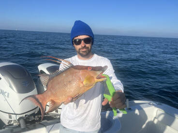 Treasure Island Report Photo 2