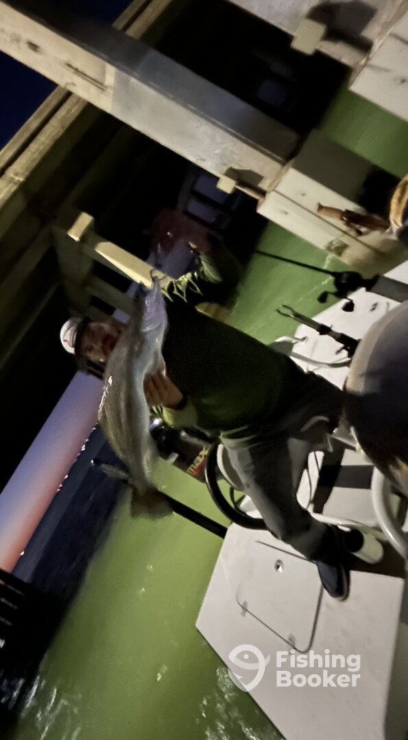 Aransas Bay Report Photo 0