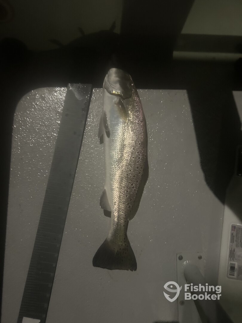 Port Aransas Report Photo 0