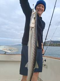 Barracuda Bass Halibut Bonito