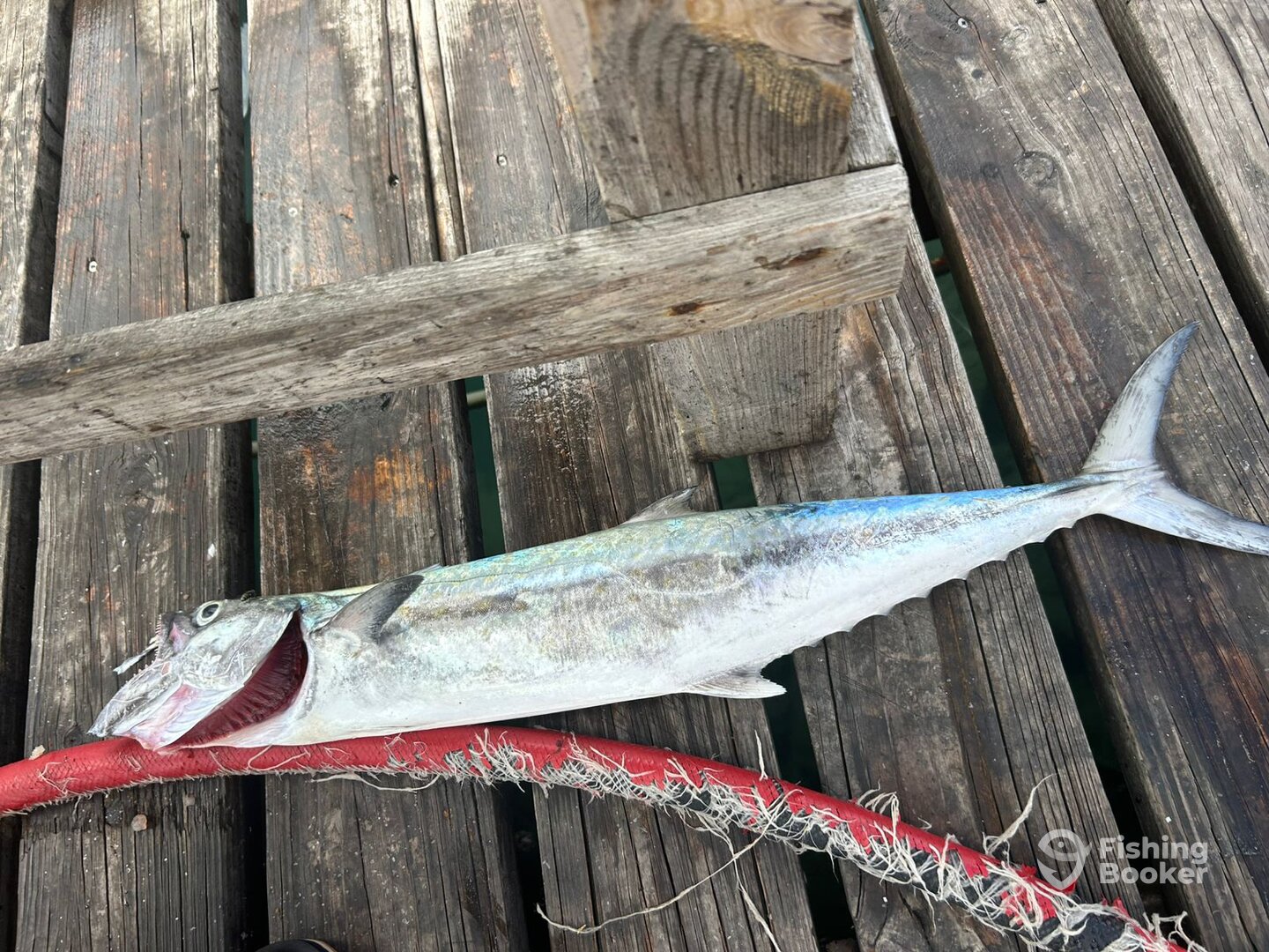 Oranjestad Report Photo 0