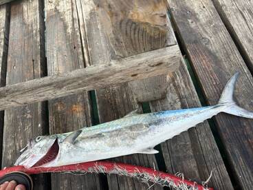 Oranjestad Report Photo 1