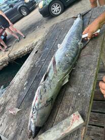 Oranjestad Report Photo 2