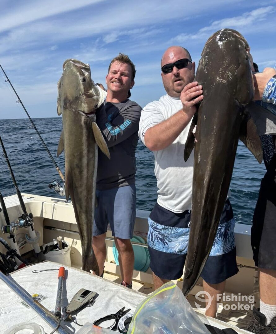 Englewood Report Photo 0