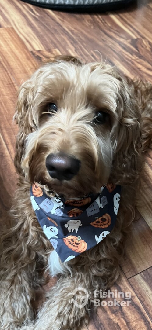 Goodland Report Photo 0