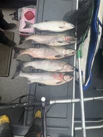 Clark County Report Photo 2