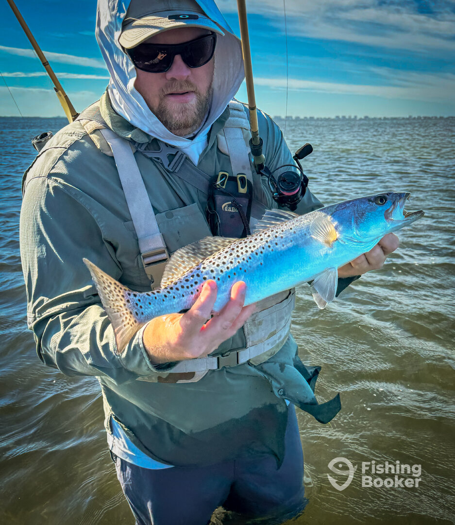 Palmetto Report Photo 0