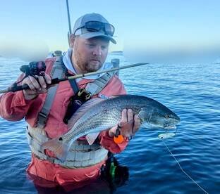 Palmetto Report Photo 2