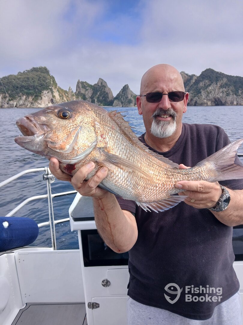 Coromandel Peninsula Report Photo 0