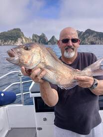 Coromandel Peninsula Report Photo 3