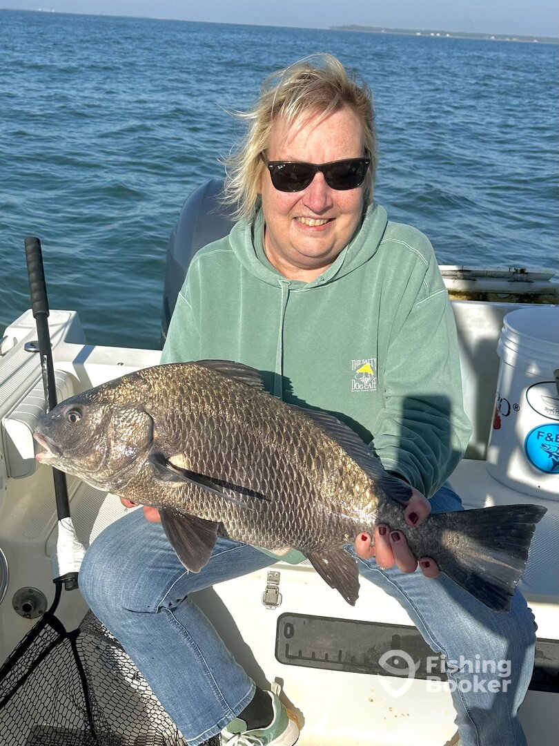 Hilton Head Island Report Photo 0