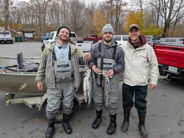 Yates County Report Photo 1