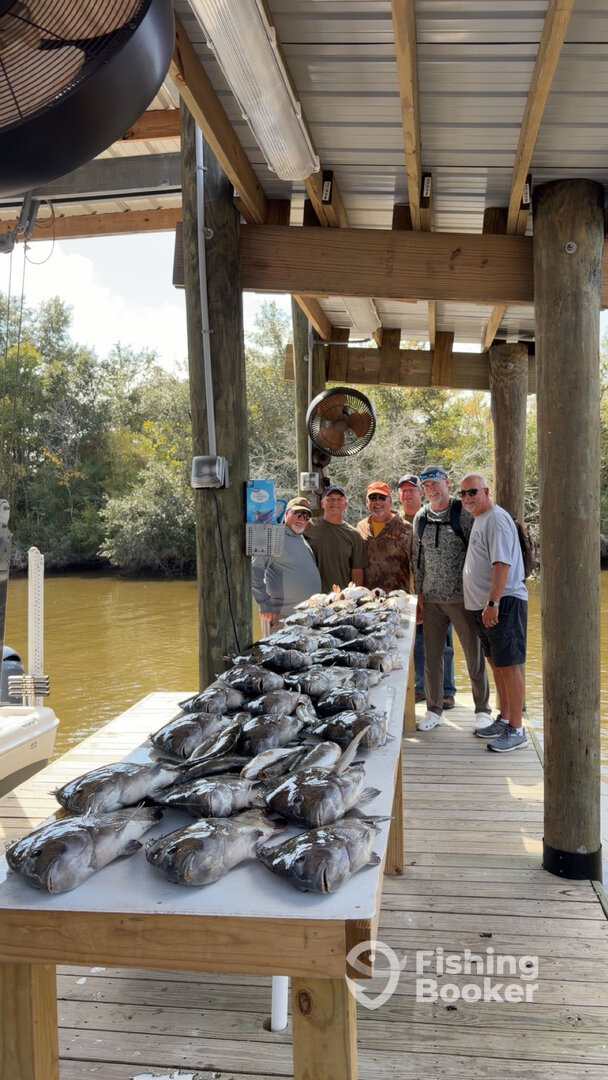 St. Bernard Report Photo 0