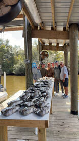 Sheeps head smack down 