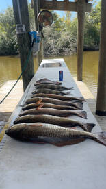 Nothing wrong with a scouting trip! 