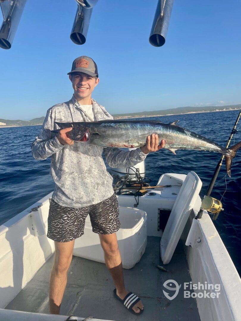 Baja California Sur Report Photo 0