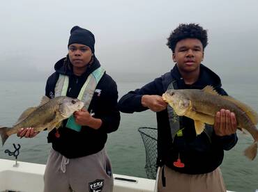 Knoxville Report Photo 2