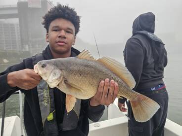 Knoxville Report Photo 3