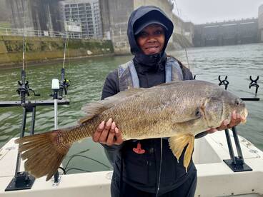 Knoxville Report Photo 1