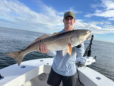 Jacksonville Report Photo 1