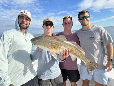 Jacksonville Report Photo 2