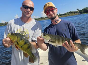 Excellent morning bite 