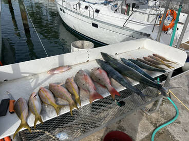 Key West Report Photo 1