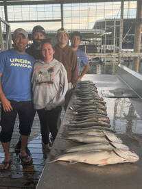 Better than costa rica 