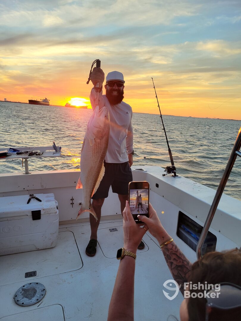 Galveston Report Photo 0