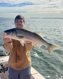 Woodbridge Township Report Photo 4