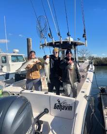 Woodbridge Township Report Photo 3