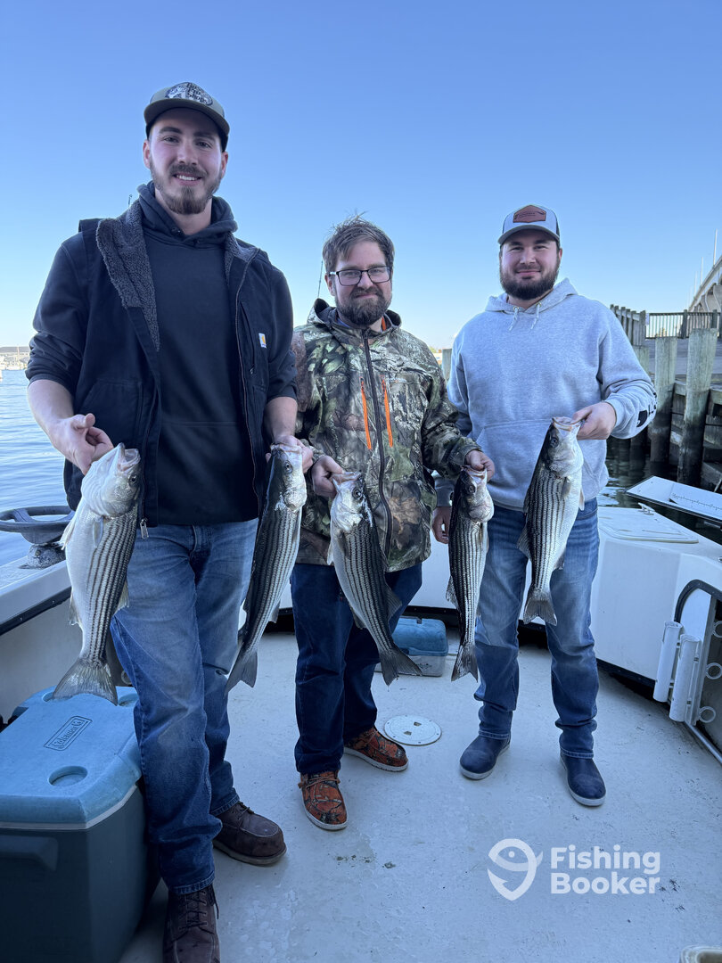 Bellevue Report Photo 0