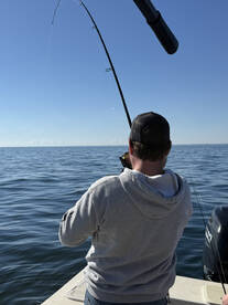 Bellevue Report Photo 2