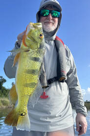 Toa Alta Report Photo 4