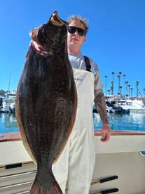 Dana Point Report Photo 2