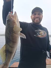 Dana Point Report Photo 2