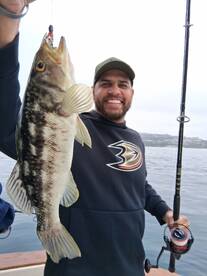 Dana Point Report Photo 1