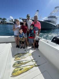 Great mahi action