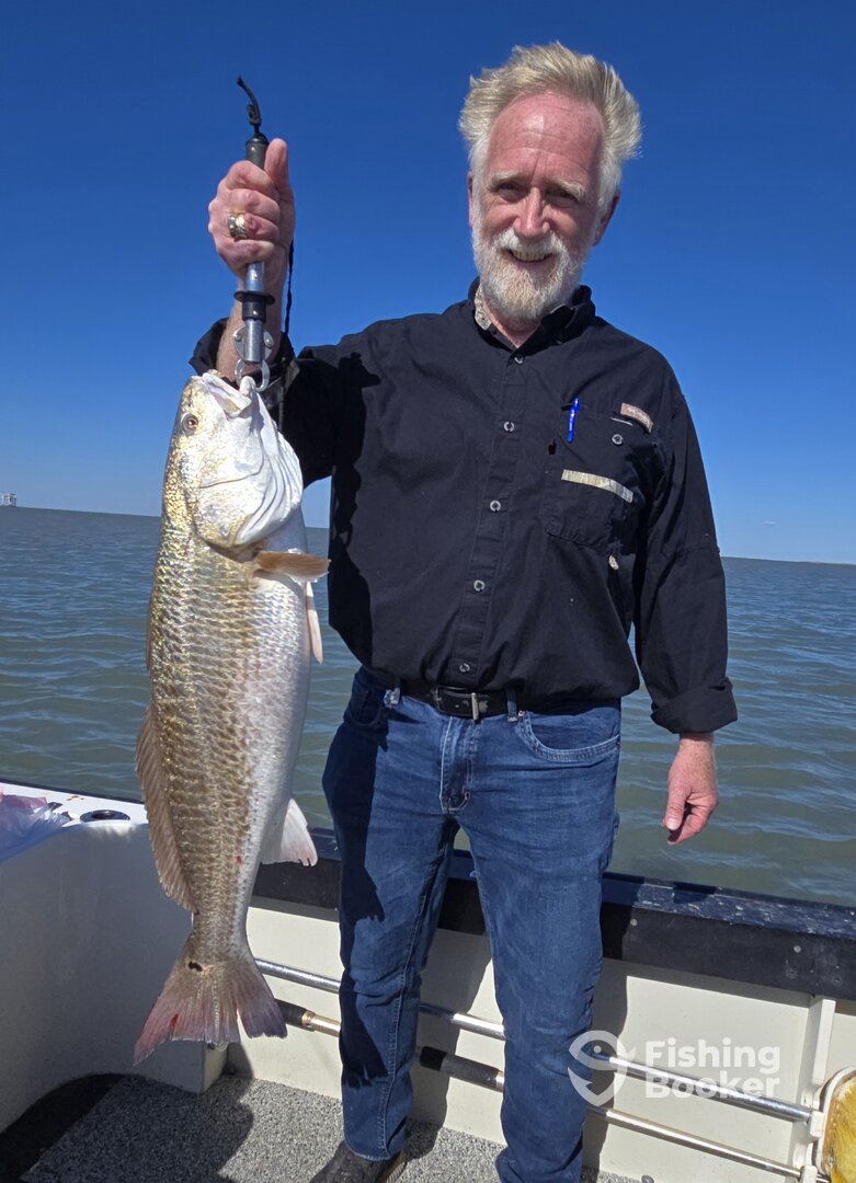 Galveston Report Photo 0