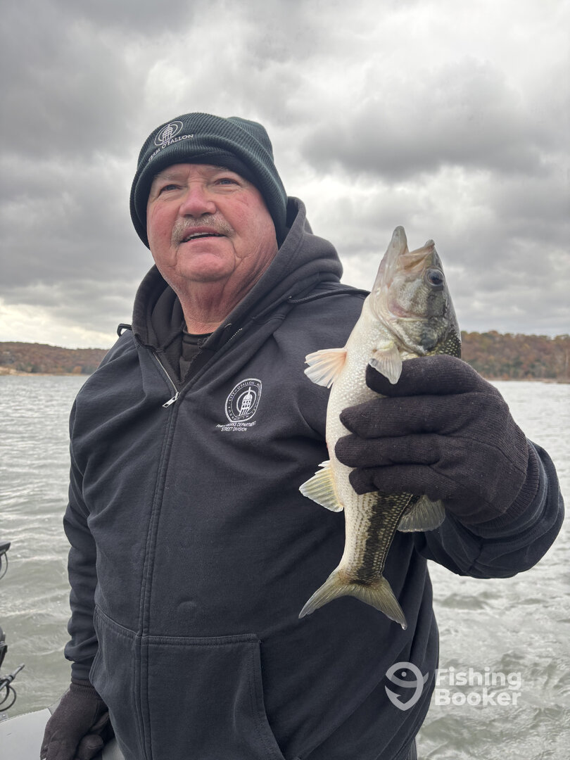 Branson Report Photo 0