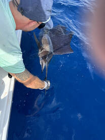 Fort Lauderdale Report Photo 2