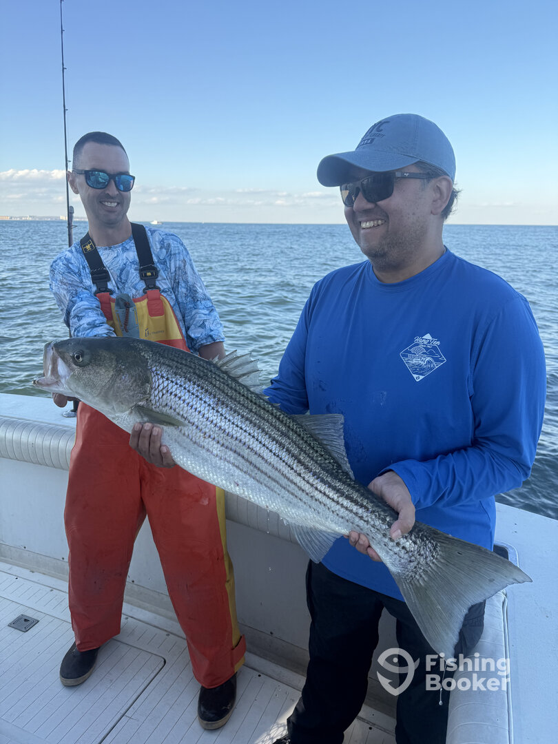 Belmar Report Photo 0