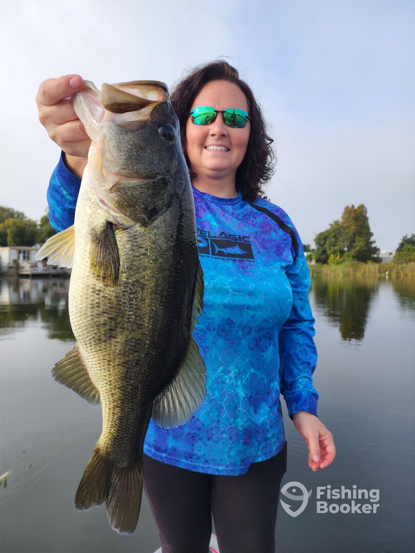 Orlando Report Photo 0