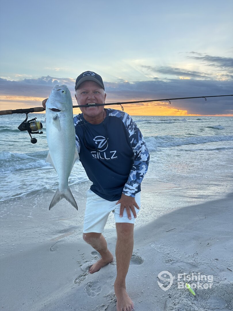 Rosemary Beach Report Photo 0