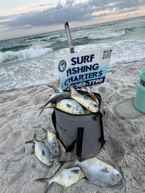 Santa Rosa Beach Report Photo 1