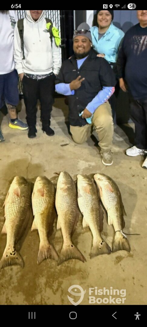 Galveston Report Photo 0