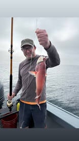 Los Angeles Report Photo 1