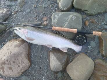 Assateague Island Report Photo 4